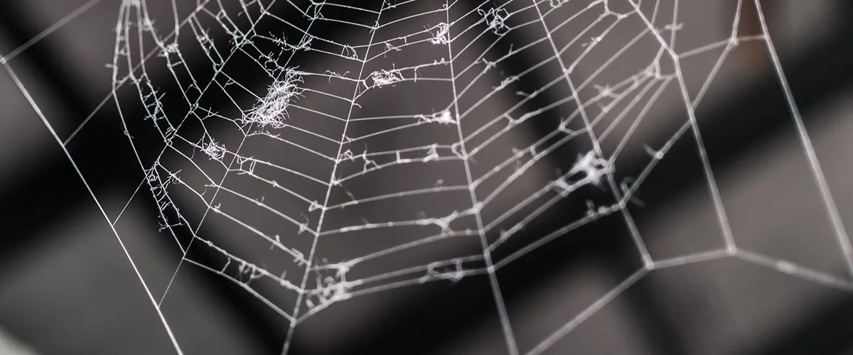 Treppenhausreinigung Hamburg GDK Gebaeudedienste Kleinstück